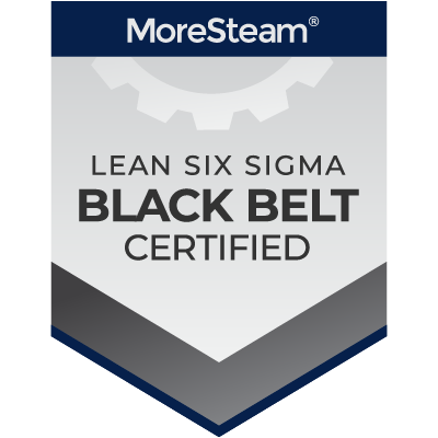 Pioneers in Online Lean Six Sigma Training